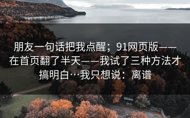 朋友一句话把我点醒；91网页版——在首页翻了半天——我试了三种方法才搞明白…我只想说：离谱